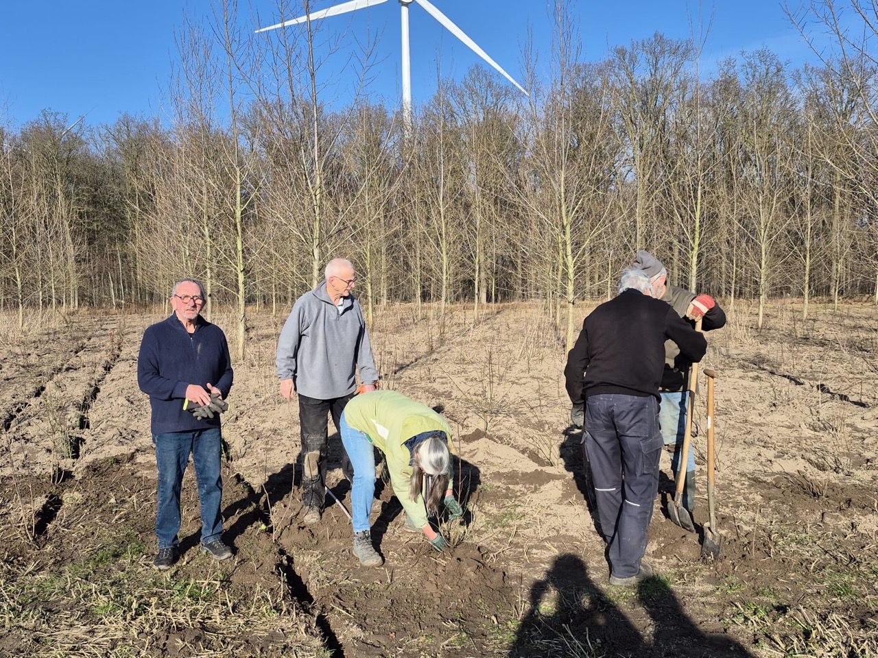 Vrijwilligers planten bomen en struiken bij Windpark De Kookepan